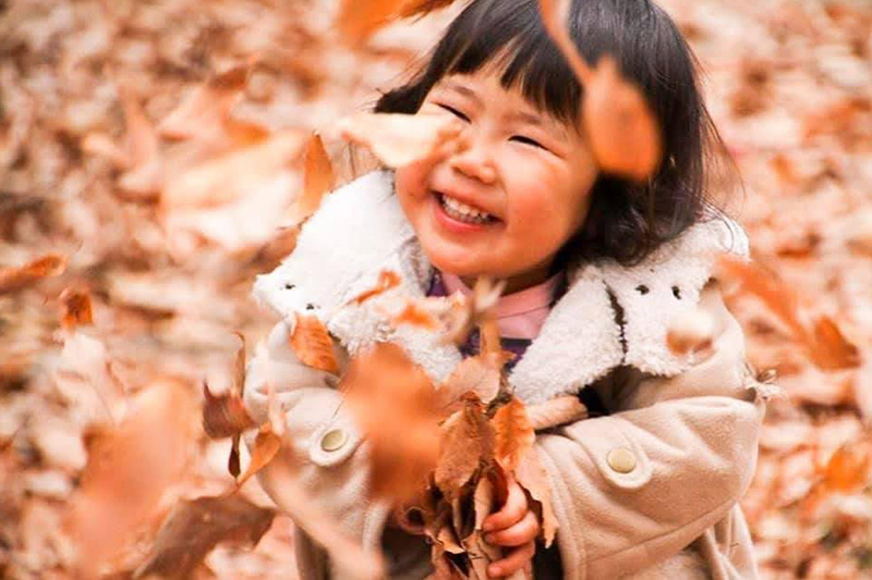 その他出張撮影